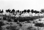Tombstone cemetery in Tombstone, Arizona. Photo by C.S. Fly