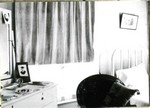 A bedroom at the Young Women's Christian Association, YWCA, showing a single bed, dresser, chair, cushion, a graduation photo on the dresser, and photo on the mirror. The YWCA was located on Howell Avenue in Bisbee.