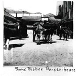 Burros or mules hauling wood in the Bisbee area. Note the brick road. Written under the image is: Some Bisbee Burden-beare(r).
