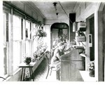A sunroom, or possibly an enclosed porch, with plants and a woman sitting at a desk. There are ceiling light fixtures and an electrical cord running from the ceiling to a light next to the desk. There are shelves on the wall behind the desk holding papers and probably magazines and a box. Next to the desk is an window leading to an interior room with a plant on the sill and a calendar hanging on the jamb. There is another calendar hanging on the jamb of one of the exterior windows. A door with an arched transom is at the end of the room. This is probably the old Young Women's Christian Association, YWCA, building.
