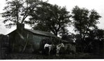 Photo postcard of the Lee Parker cabin which has a tin roof. The cabin is under some big trees and there is a man and a horse standing in front.