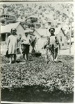 Photograph of three children in a yard on Garden Avenue, Bisbee, in 1908. Howard Cain is on the right and is holding a rope. The girl is holding a large hat. A potted palm is behind them. Many houses can be seen on the hillside.