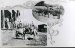 Photograph postcard showing two pictures of burros, circa 1904. One shows burros carrying wood and the other shows burros carrying water. The latter are in front of the Cuban Store. Postcard captioned: Water and Wood Haulers. Photo by Humphries Photo Company and published in El Paso, Texas.