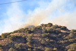 View of the Thirty Moon Fire above High Road, March 20, 2008.