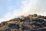 View of the Thirty Moon Fire above High Road, March 20, 2008.
