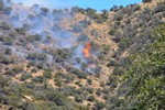 View of the Thirty Moon Fire, March 20, 2008.
